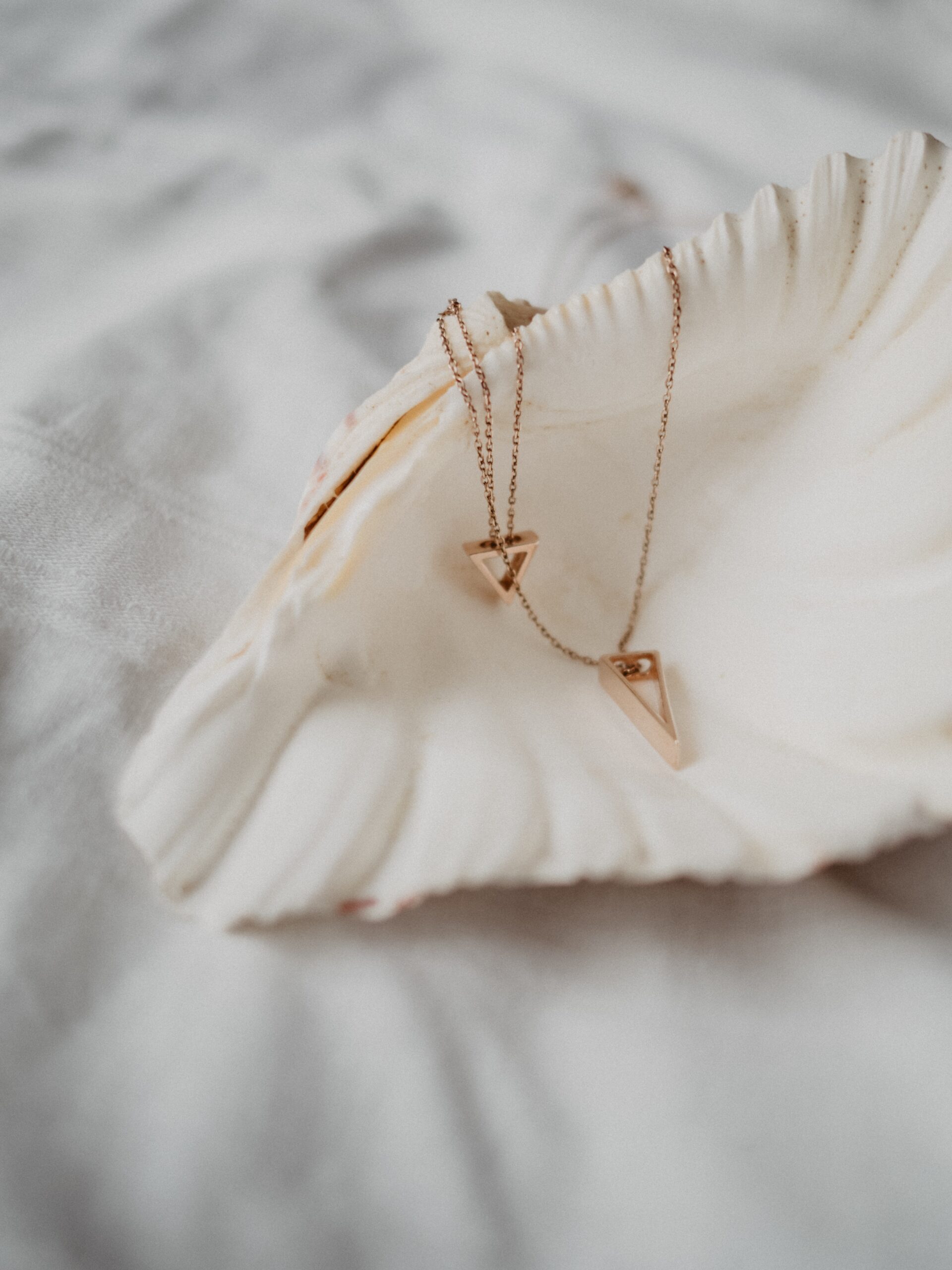 Collier coquillage : un trésor de bijoux marins à découvrir ...